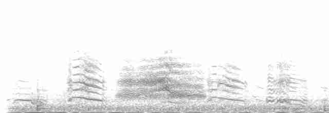 裏海燕鷗 - ML230991