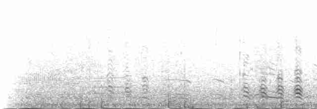 銀鷗(mongolicus) - ML230994