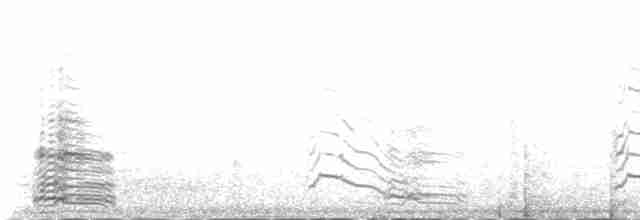 銀鷗(mongolicus) - ML231000