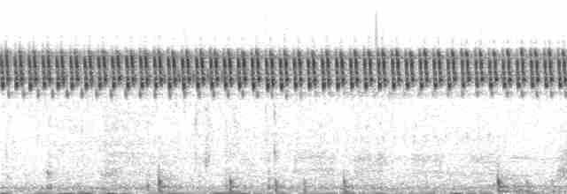 矛斑蝗鶯 - ML231010