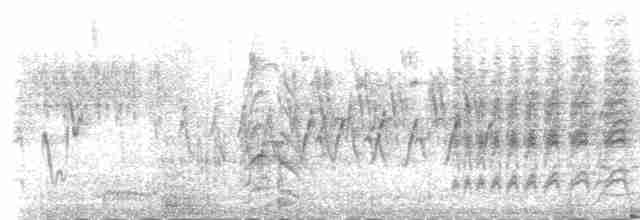 Белая лазоревка [группа cyanus] - ML231016