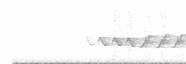 Kentucky Warbler - ML231022671