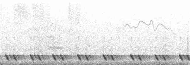 Red-necked Nightjar - ML231051241