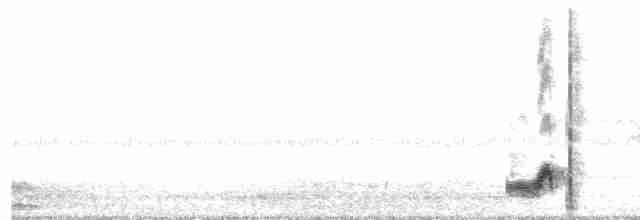 Eurasian Nightjar - ML231072201
