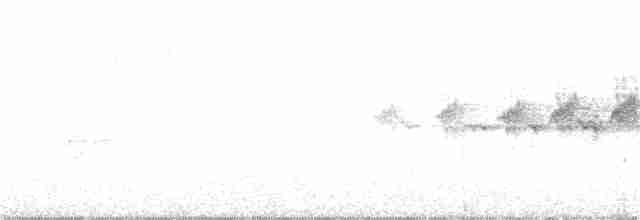 Hermit Warbler - ML231085081