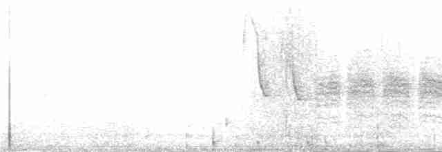 Kayın Baştankarası - ML231101