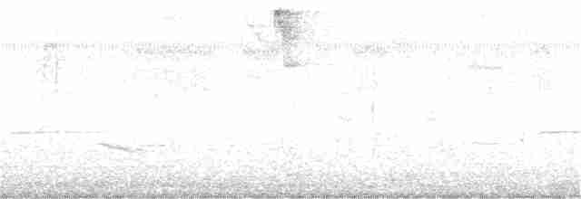 Гутурама темнощока - ML231105101