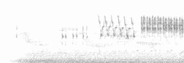 Oriental Reed Warbler - ML231108