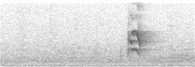 Попугай Крамера - ML231124611