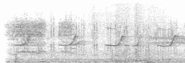 Flussseeschwalbe (longipennis) - ML231182