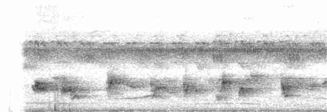 Bulbul Cejiblanco - ML231189171
