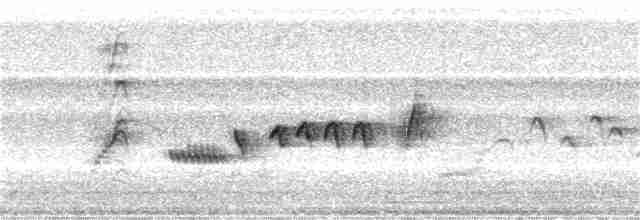 חמריה חלודת-זנב (צפונית) - ML231202711
