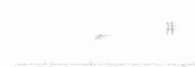 Arctic Warbler - ML231222