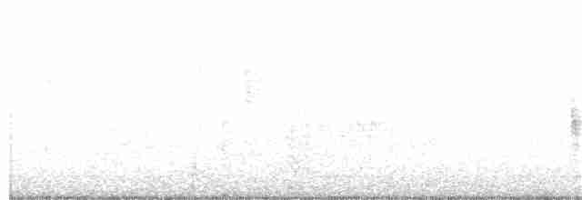Бледная малая овсянка - ML231228141