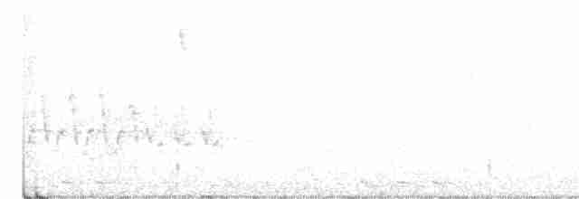 Black-billed Cuckoo - ML231258251