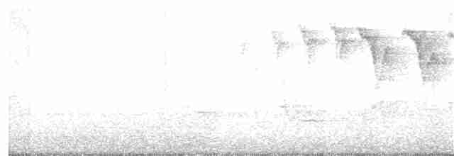 Blackburnian Warbler - ML231323431