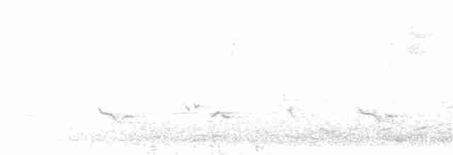 Cırcır Sesli Serçe - ML231328281
