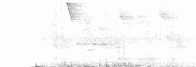 White-necked Jacobin - ML231356451