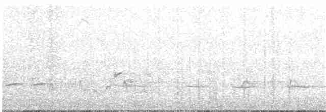 Prairie Warbler - ML231386941