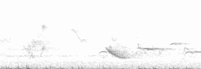 Бурый соловьиный дрозд - ML231397991