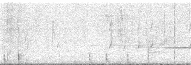 Brownish-flanked Bush Warbler - ML231417631