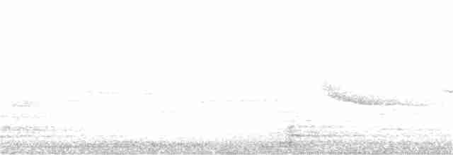 Дроздовый певун - ML231464211
