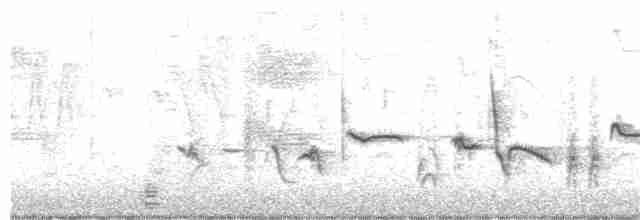 Oriole des vergers - ML231494761