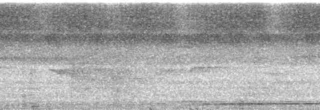 madagaskarugle (rutilus) - ML23154