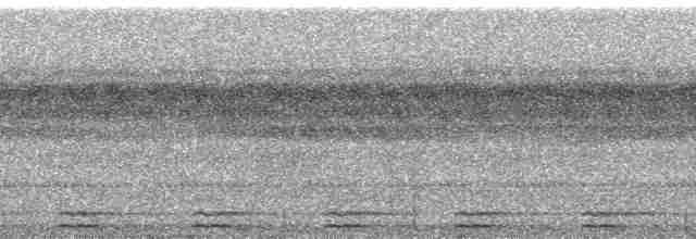 Сплюшка мадагаскарська (підвид rutilus) - ML23155