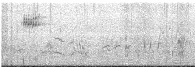 Gray-streaked Flycatcher - ML231603081