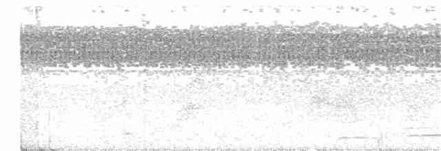 holub safírový - ML231604791
