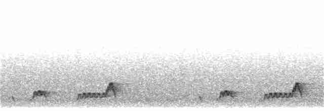 Mexikonachtschwalbe - ML231605961