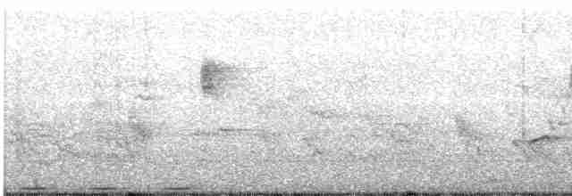 Arctic Warbler - ML231608551