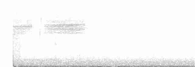 Бледная малая овсянка - ML231615481