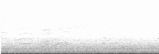 Prairie Warbler - ML231615931