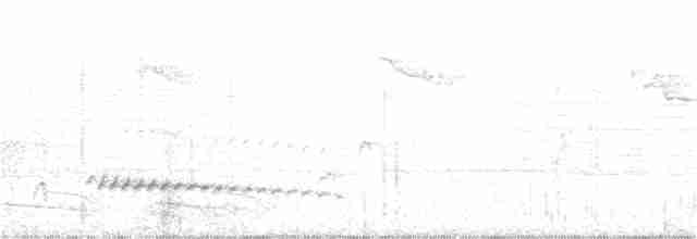 Tüpfelkronen-Ameisenvogel - ML231670571