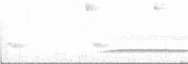 Tüpfelkronen-Ameisenvogel - ML231670991