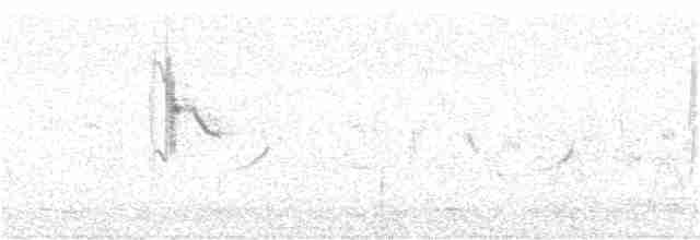 Western Yellow Wagtail (flavissima) - ML231676551
