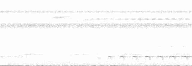 White-tailed Trogon - ML231688371