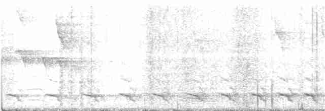 White-tailed Trogon - ML231689451