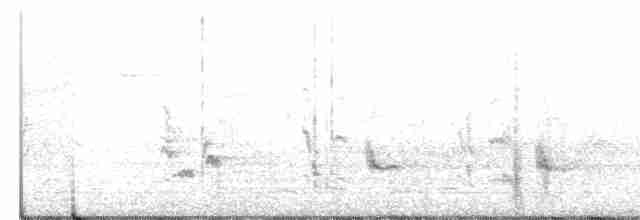 Gray Catbird - ML231735051