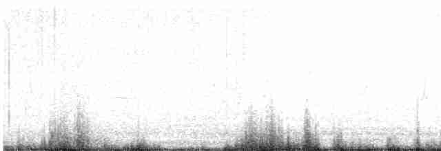 Common Yellowthroat - ML231807781