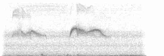 叉尾雨燕 - ML23183911
