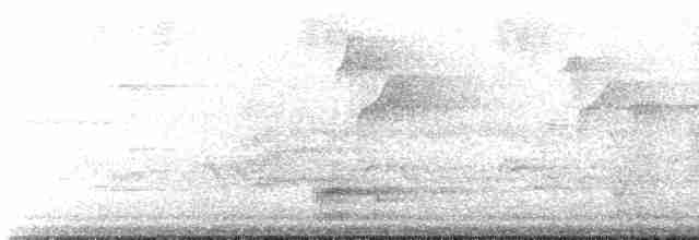 Black-throated Gray Warbler - ML231867381
