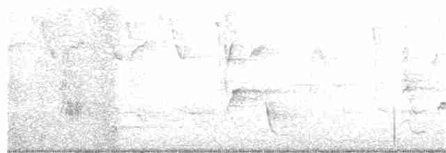 Hooded Warbler - ML231915121