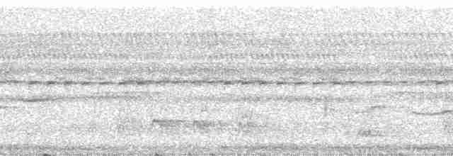 Дятел плямистобокий - ML23199