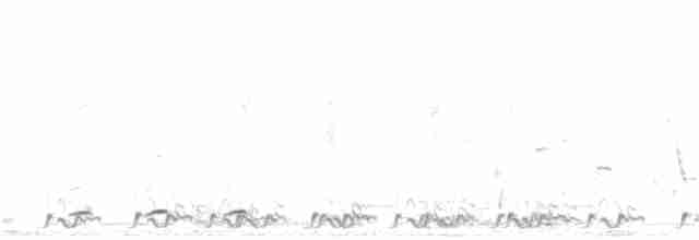 småpræriejerpe - ML232004711