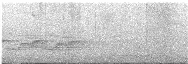 Blackburnian Warbler - ML232027491