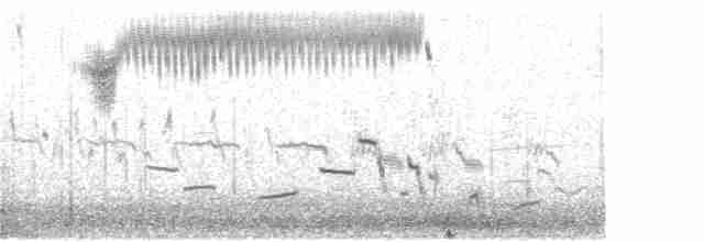 Çekirge Sesli Çayır Serçesi - ML232154901