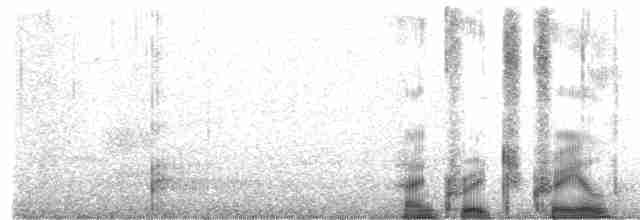 Gray Catbird - ML232172181